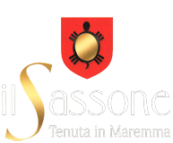 Tenuta Il Sassone